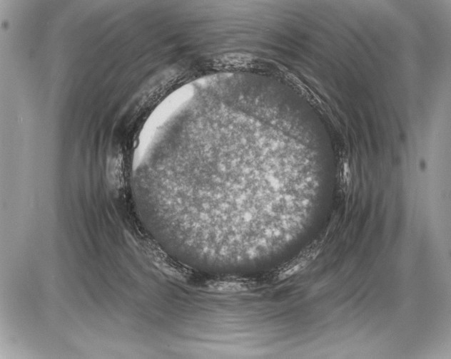 X0000085730224200704131627