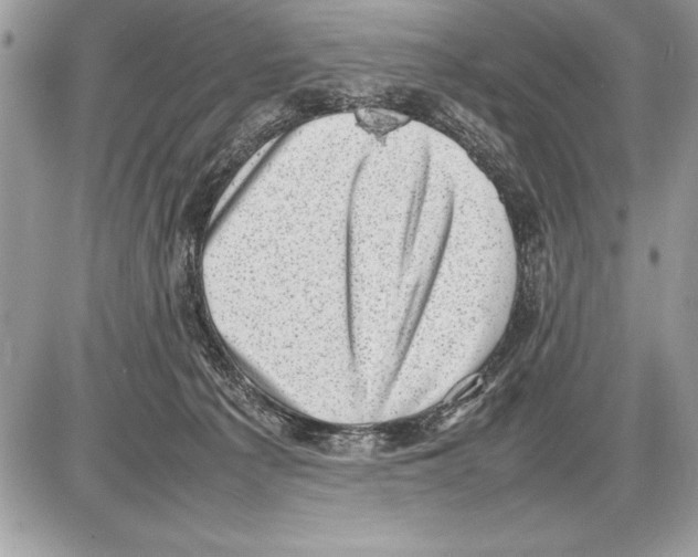 X0000085730225200704131627