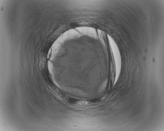 X0000085730227200704131627