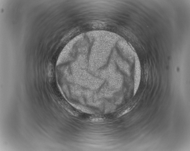 X0000085730228200704131627