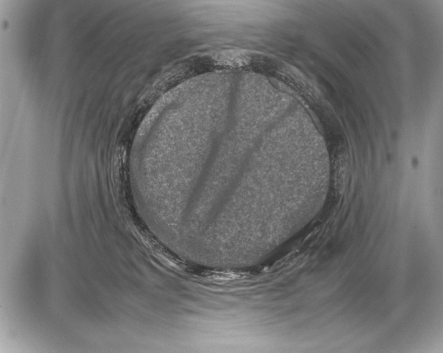 X0000085730229200704131627