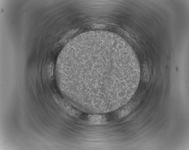 X0000085730230200704131627