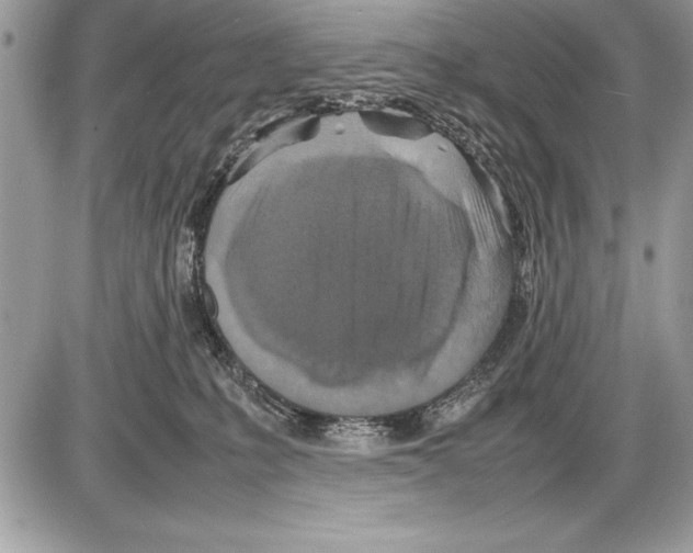 X0000085730231200704131627