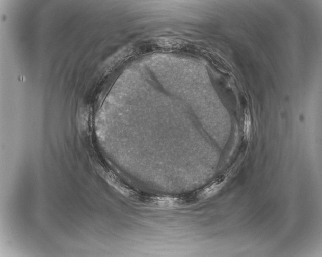 X0000085730233200704131627