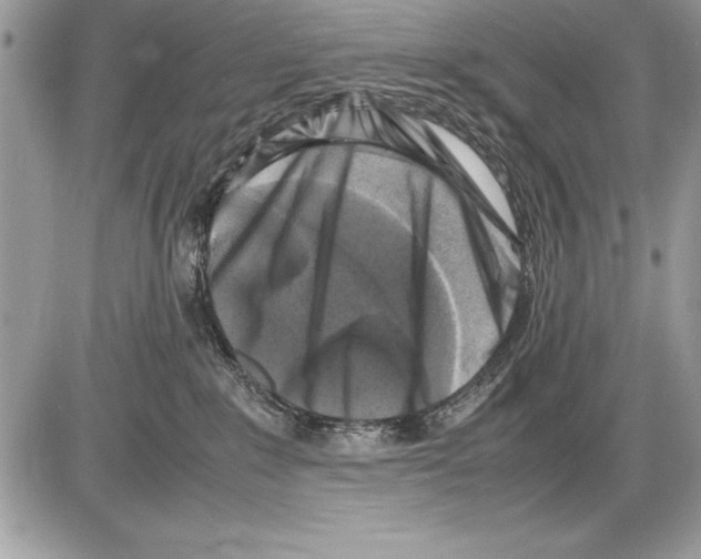 X0000085730235200704131627