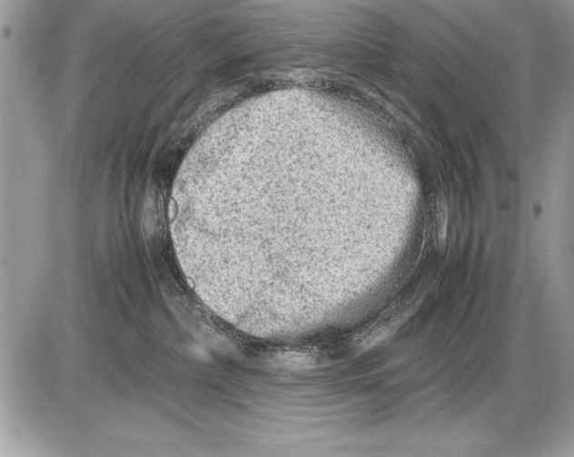 X0000085730236200704131627