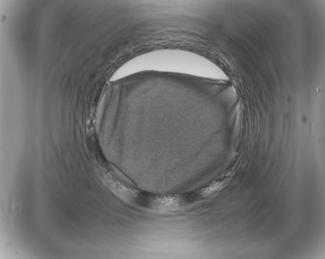 X0000085730237200704131627