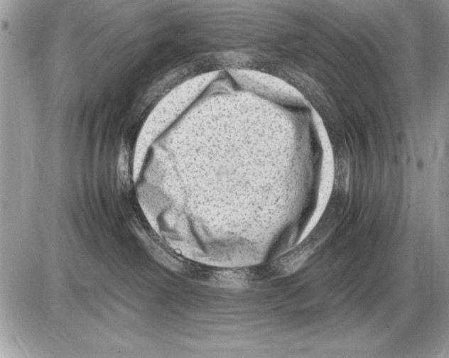 X0000085730238200704131627