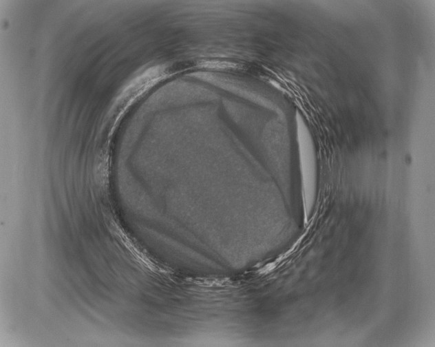 X0000085730243200704131626