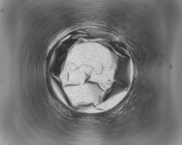 X0000085730244200704131626