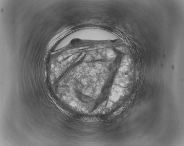 X0000085730245200704131626