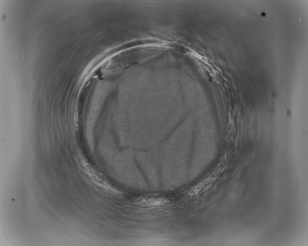 X0000085730247200704131626