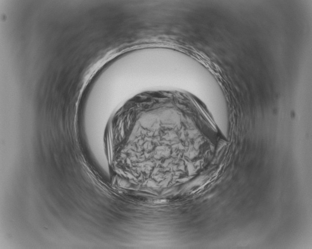 X0000085730248200704131626