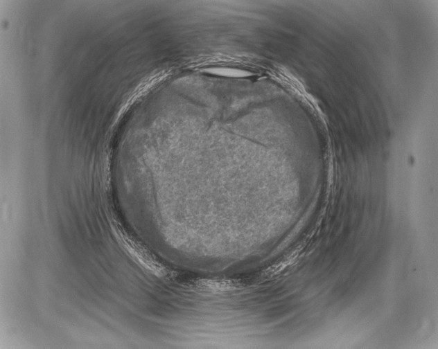 X0000085730250200704131626