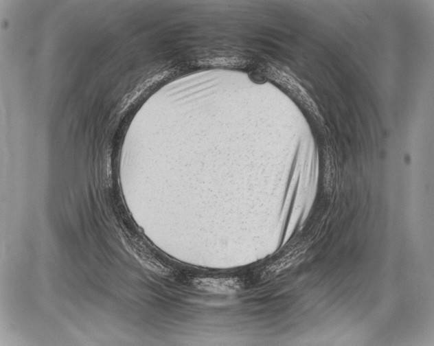 X0000085730251200704131626