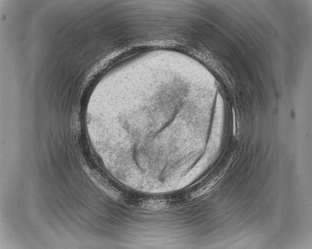 X0000085730252200704131626