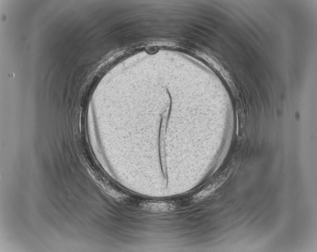 X0000085730253200704131626