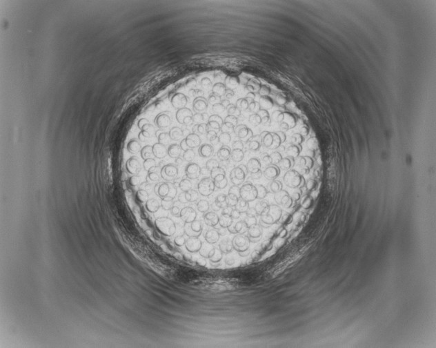 X0000085730254200704131626