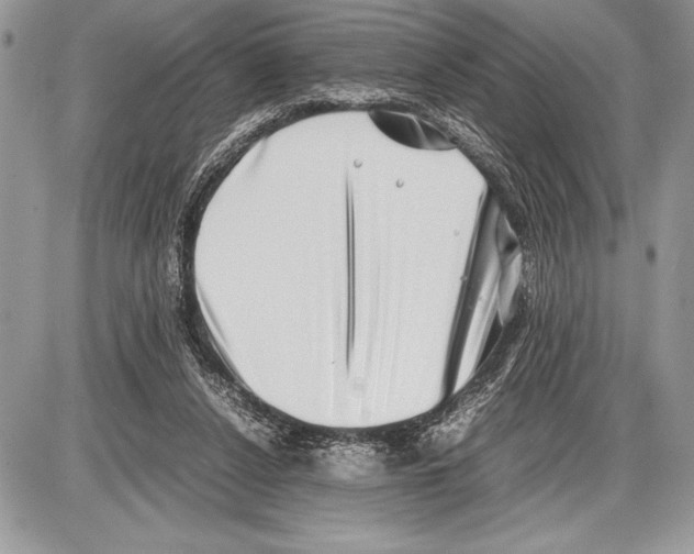 X0000085730256200704131626