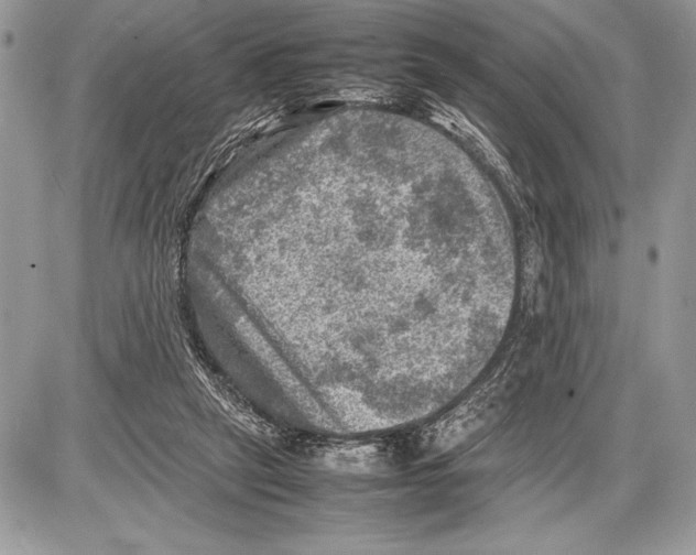 X0000085730257200704131626