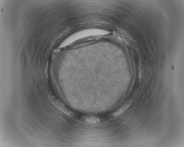 X0000085730258200704131626