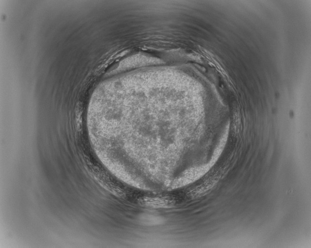 X0000085730259200704131626