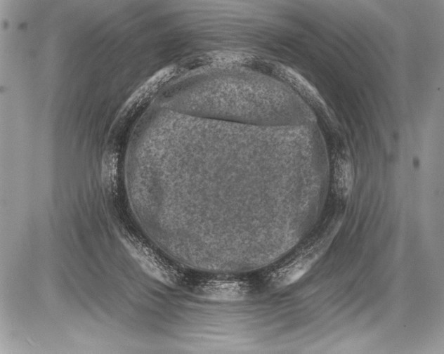 X0000085730260200704131626