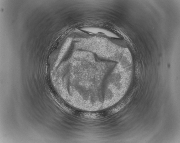 X0000085730261200704131627