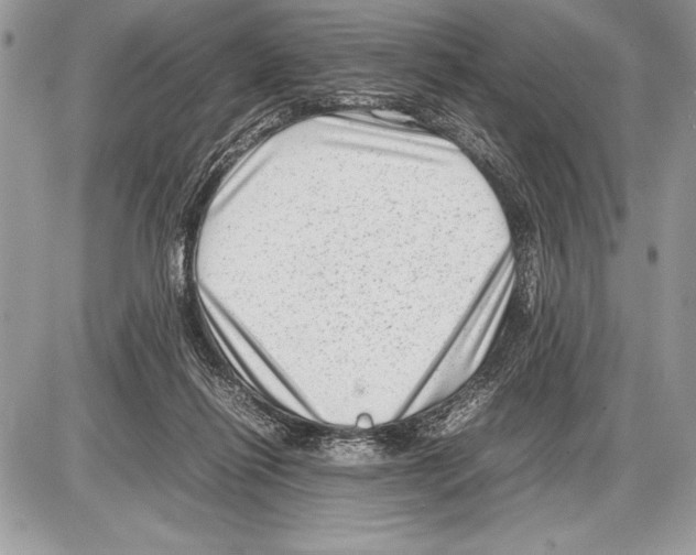 X0000085730262200704131627