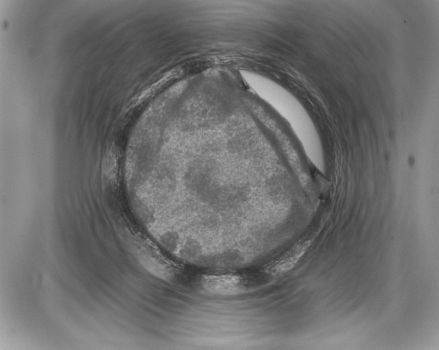 X0000085730266200704131627