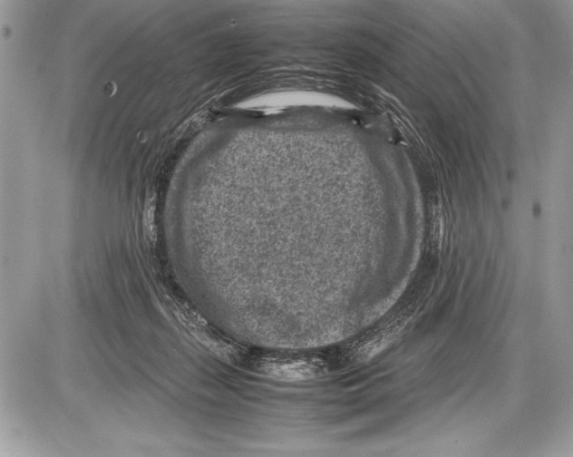 X0000085730267200704131627