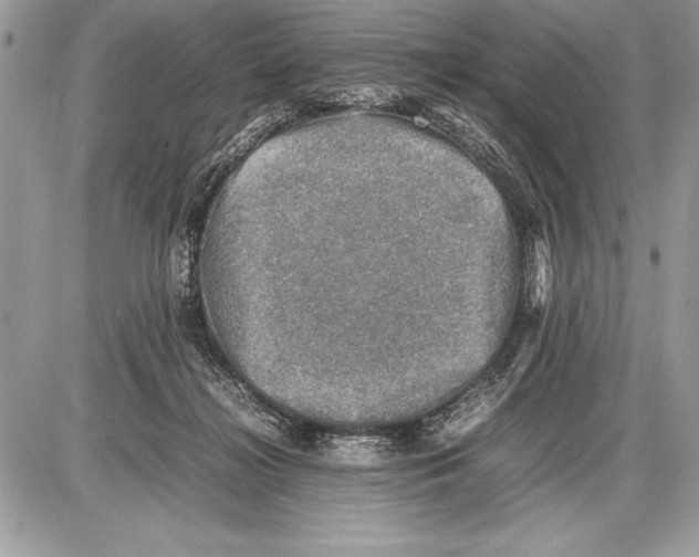 X0000085730268200704131627