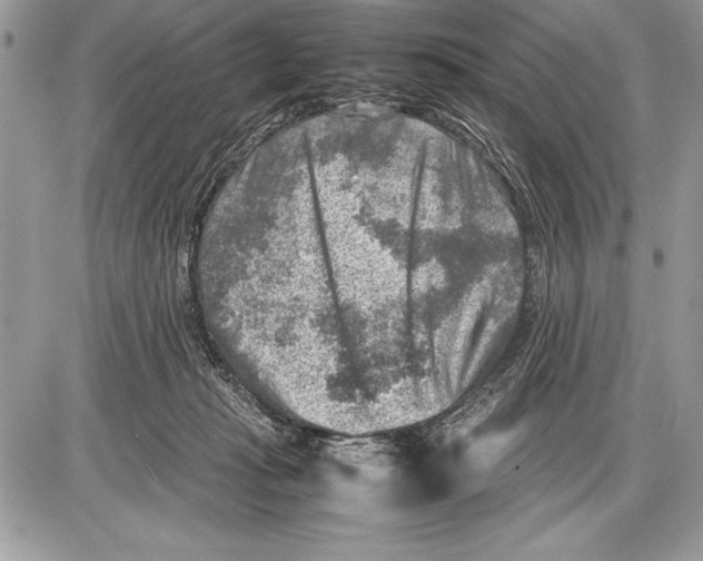 X0000085730269200704131627