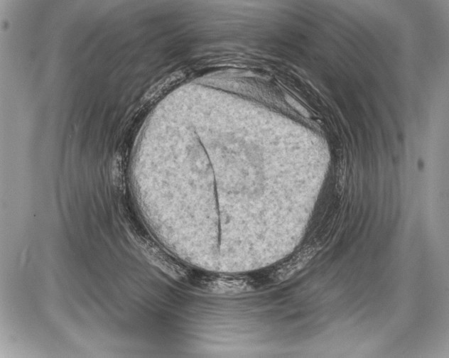 X0000085730270200704131627