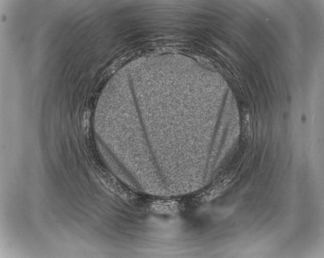 X0000085730271200704131627