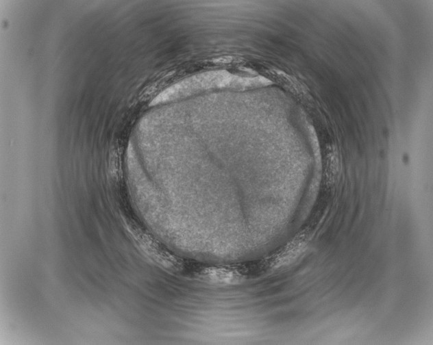 X0000085730272200704131627