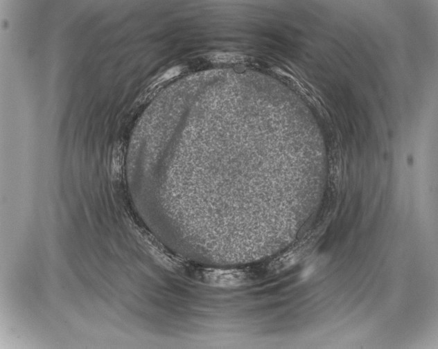 X0000085730277200704131627