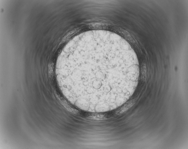 X0000085730278200704131627