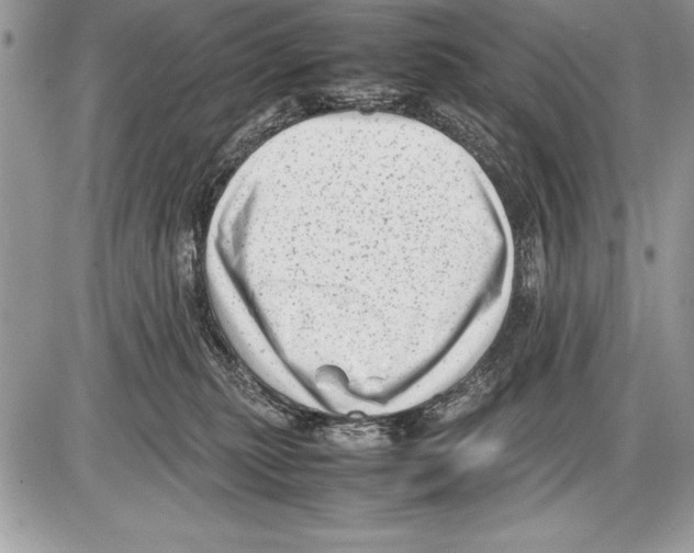 X0000085730279200704131627