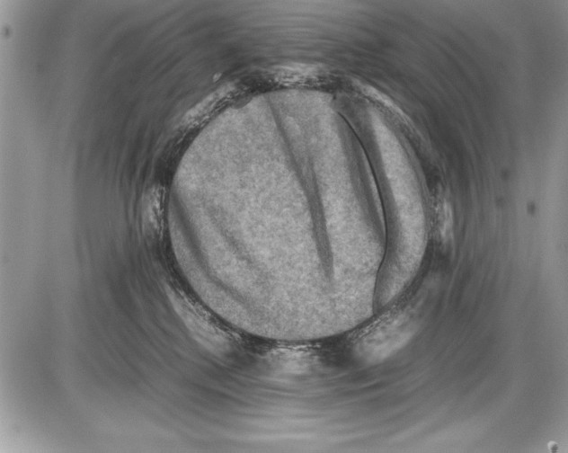 X0000085730280200704131627