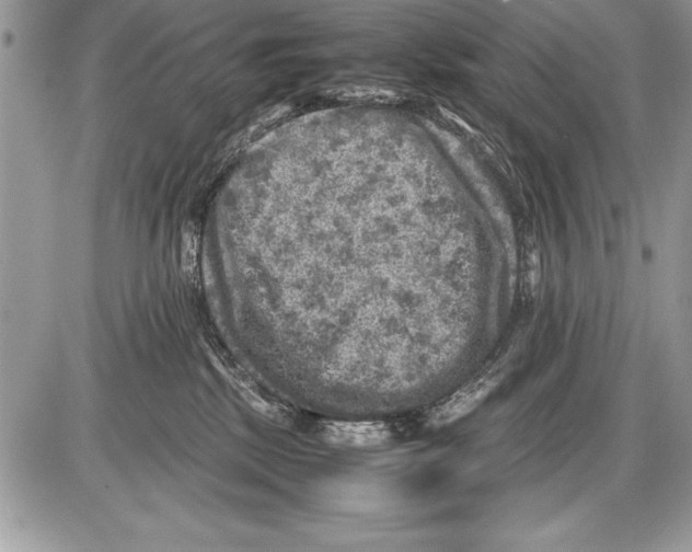 X0000085730281200704131627