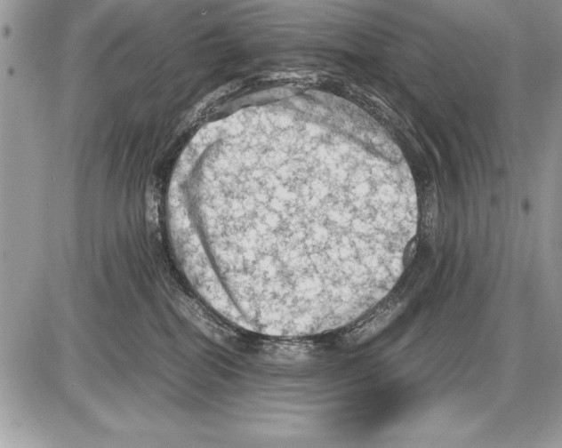 X0000085730282200704131627