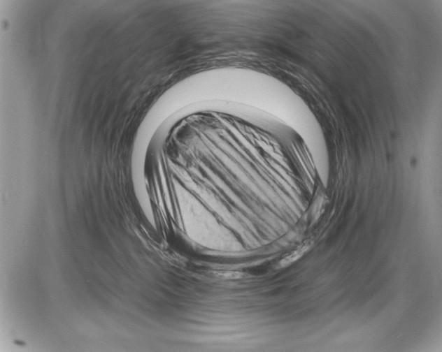 X0000085730284200704131627