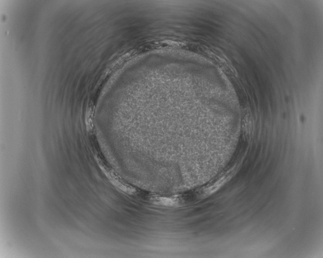 X0000085730285200704131627