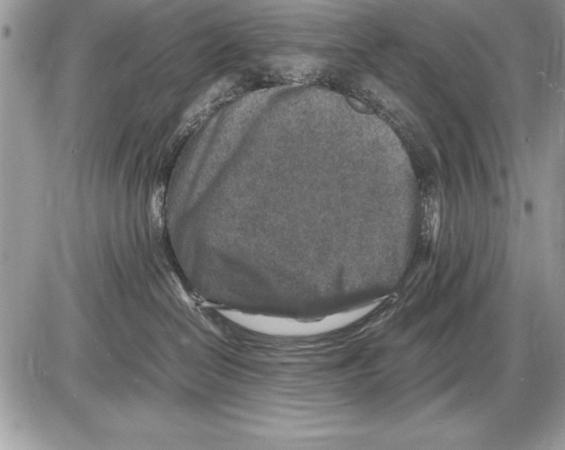 X0000085730286200704131627