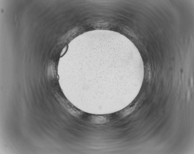 X0000085730287200704131627