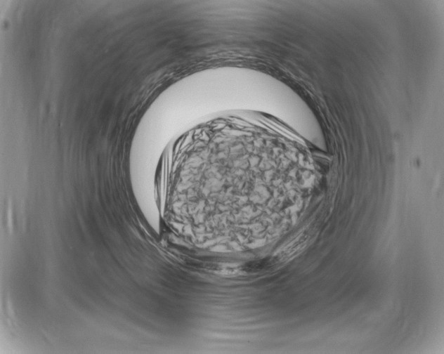 X0000085730288200704131627