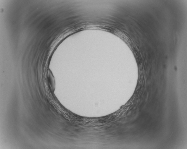 X0000085730289200704131626