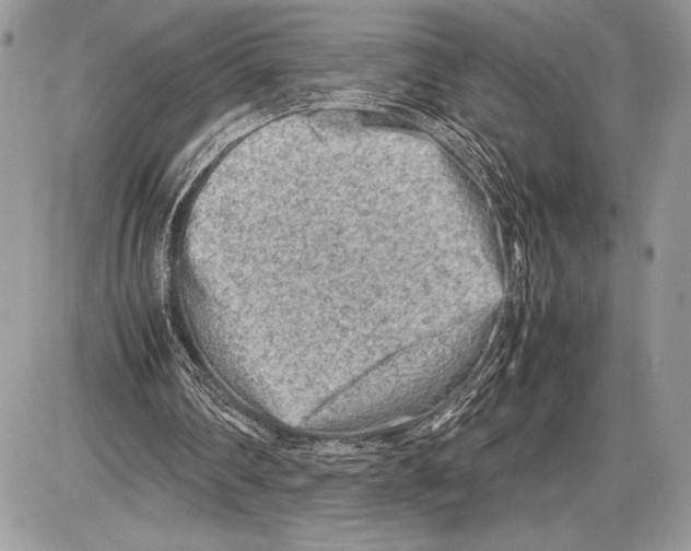 X0000085730290200704131626