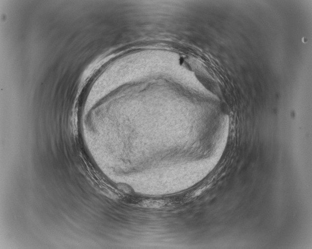 X0000085730294200704131626